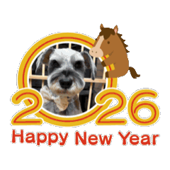 J_2026 New Year's and dogs and cats