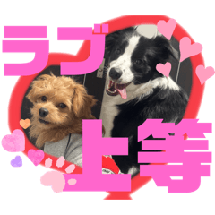 Miho.i_20251227150650