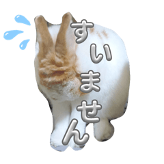 Harimoto_20251227170242