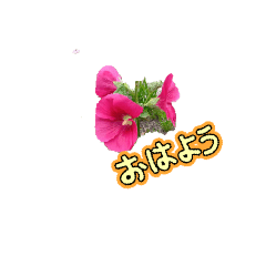 sannbe_20251227170248