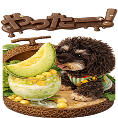 うちの子チョコレート”ノア”