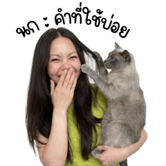 นก : คำที่ใช้บ่อย