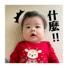 我是一顆柚子 柚子日常生活篇