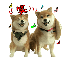 羊毛フェルトの柴犬わんこ Line スタンプ Line Store