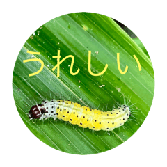 soucho_20251226180850