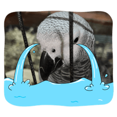 Paris_20251227132659