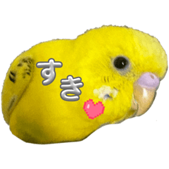 mikimaru_20251227172242