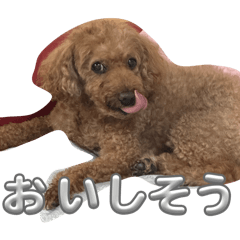 sorajiro_20251227173514