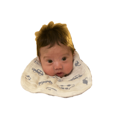 sakura_20251227200351