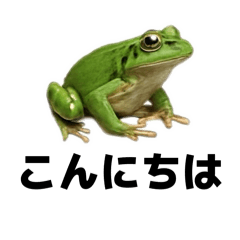 Frogs love stickers
