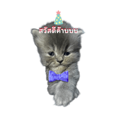 Purple Bear_20251227152520