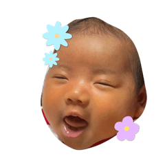 hikari_20251227174037