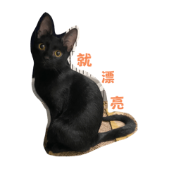 劉ㄌㄞˇ第一彈