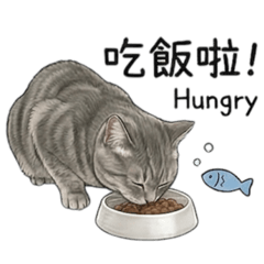 短短傲嬌小公主