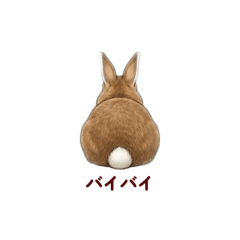 Konosuke_20251227194532