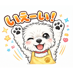 Ayushi_20251227195231