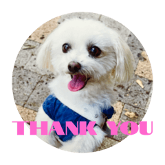 hanon_20251227182952