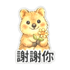 快樂袋鼠的微笑日常_生活實用篇