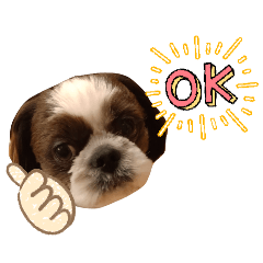 suiso_20251227204442