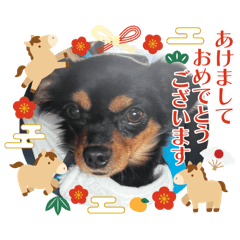 hiroe_20251227204448