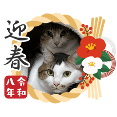 RICONO_20251227204639