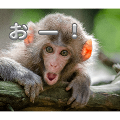 z7u6s5_20251227204651