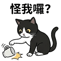 咪兔-朕跟你說話