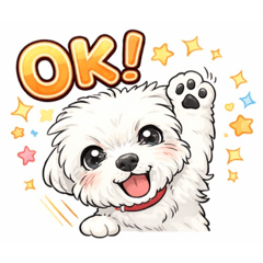 Ayushi_20251227191217