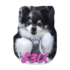 Reika_20251227190755