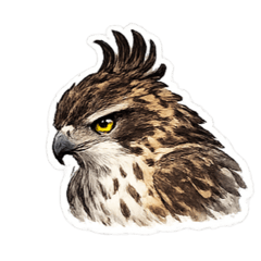 kirara_20251227191937