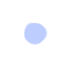 Field flower_20251227191445