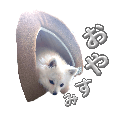 pometz dashimaki_20251227225913