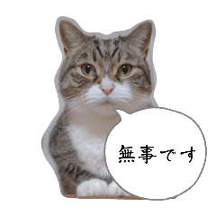 kinakomochi_20251227230318