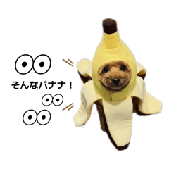 sumire_20251227231313