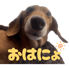 sasaki_20251227231214