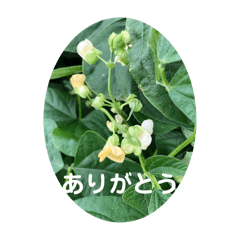 kuchan_20251227231342