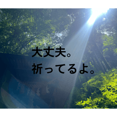 NICE YUKO_20251227231500