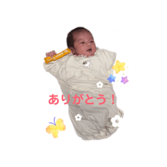 rinaiwasaki_20251227231425