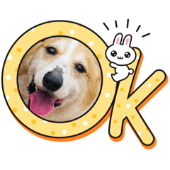 chiko_20251227213039