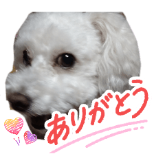 kokochanmama_20251227212034