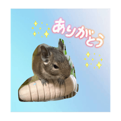 marimorimo_20251227213117