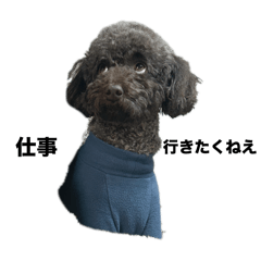 Momoko._20251227193138