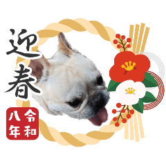 cocoyu_20251227223109