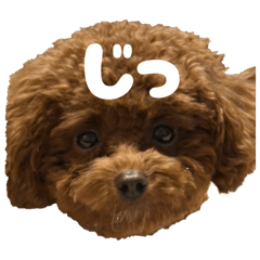 Yamada_20251227223354