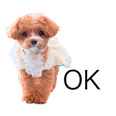 yasudamaro_20251227223435