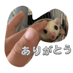 z7u6s5_20251227202733