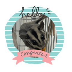 cocoa_20251227203156