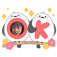 otton_20251227203659