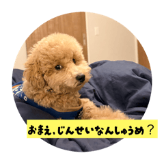 burugari3_20251227195608