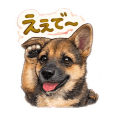 RARAMUGI_20251227203157